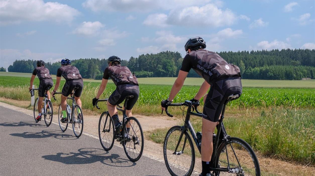 Cycling Touring Expert, auch bekannt als Radreiseprofi, ist ein Reiseveranstalter, der sich auf organisierte Radreisen durch ganz Europa spezialisiert hat. Mit über 30 Jahren Erfahrung bietet das Unternehmen sorgfältig geplante Radtouren an, die wunderschöne Landschaften, kulturelle Entdeckungen und komfortable Reiseleistungen verbinden. Die Mission von Cycling Touring Expert ist es, unvergessliche Raderlebnisse zu ermöglichen, bei denen Reisende die Fahrt genießen können, ohne sich um die Organisation kümmern zu müssen. Von malerischen Flussrouten bis hin zu alpinen Abenteuern – Cycling Touring Expert gestaltet Radreisen, die sowohl für Anfänger als auch für erfahrene Radfahrer geeignet sind.