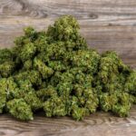 In den letzten Jahren hat sich CBD zu einer beliebten natürlichen Lösung für Menschen entwickelt, die nach Ausgeglichenheit, Entspannung und allgemeinem Wohlbefinden suchen. Angesichts des wachsenden Marktes mit einer Vielzahl von Produkten kann es eine Herausforderung sein, eine Marke zu finden, die sowohl Qualität als auch Zuverlässigkeit bietet. Genau hier setzt Lucky Hemp® an mit Premium-CBD-Produkten, die mit Sorgfalt, Präzision und Transparenz hergestellt werden.
